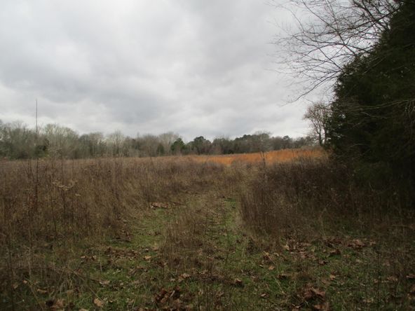 Highway 11 & County Rd 716: Highway 11 & County Rd 716, Riceville, TN 37370